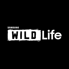 Samsung Wild Life